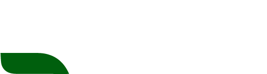 居启网络